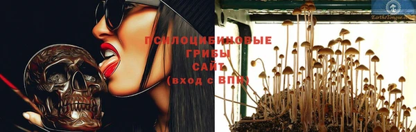 шишки Баксан