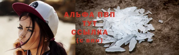 шишки Баксан