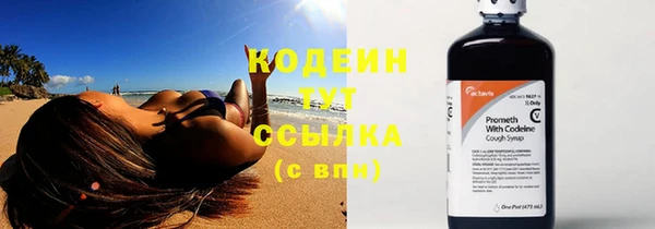 шишки Баксан