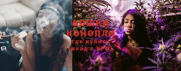 шишки Баксан