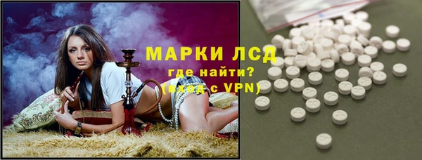 шишки Баксан