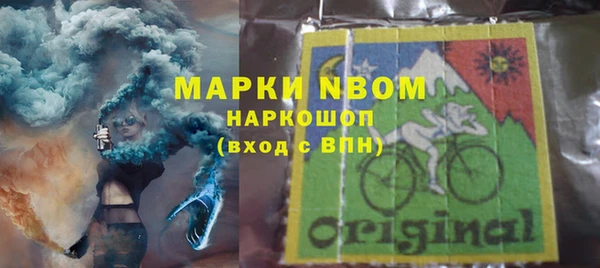 шишки Баксан