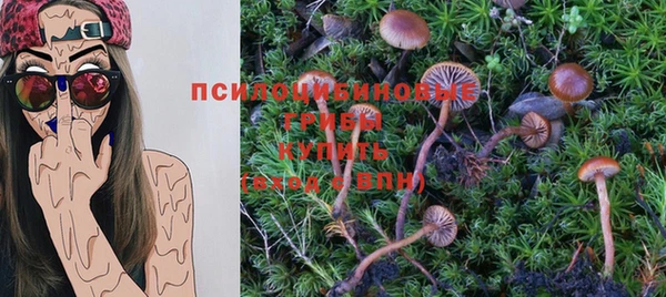 шишки Баксан